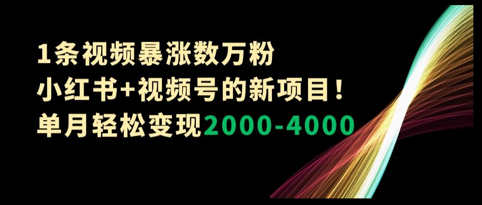 1条视频暴涨数万粉&ndash;小红书+视频号的新项目！单月轻松变现2000-4000【揭秘】