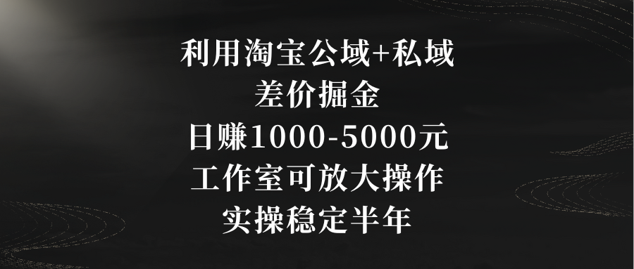 利用淘宝公域+私域差价掘金，日赚1000-5000元，工作室可放大操作，实操&hellip;