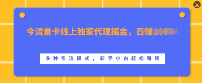 流量卡线上独家代理掘金，日入1k+&nbsp;，多种引流模式，新手小白轻松上手【揭秘】
