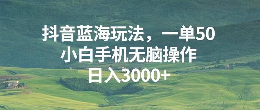 （13353期）蓝海玩法，一单50，小白手机无脑操作，日入3000+
