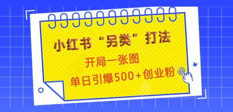 小红书&ldquo;另类&rdquo;打法，开局一张图，单日引爆500+精准创业粉【揭秘】