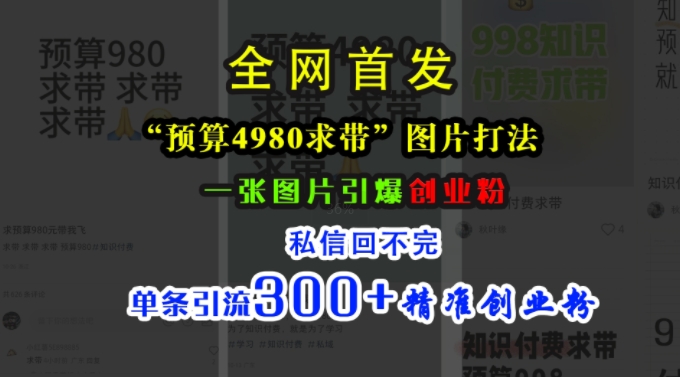 小红书&ldquo;预算4980带我飞&rdquo;图片打法，一张图片引爆创业粉，私信回不完，单条引流300+精准创业粉