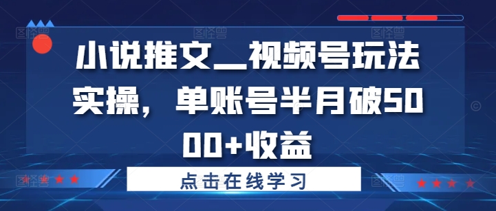 小说推文&mdash;视频号玩法实操，单账号半月破5000+收益