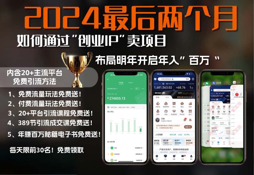 （13322期）2024最后两个月如何通过&rdquo;创业IP&ldquo;卖项目年入&rdquo;百万&ldquo;,创业IP+最强引流...