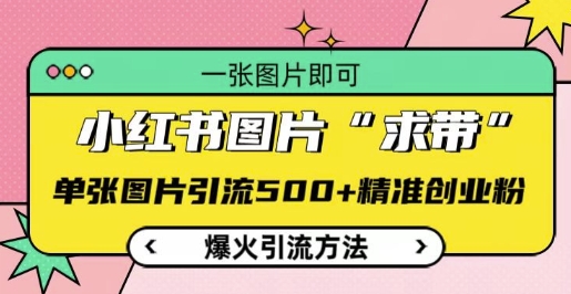 小红书图片&lsquo;求带&rsquo;爆火引流法，单张图片引流500+精准创业粉【揭秘】