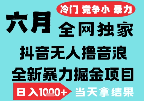 2025年6月高爆抖音无人直播最新撸音浪掘金项目，无脑日入1k+，低门槛小白可做，可矩阵放大【揭秘】