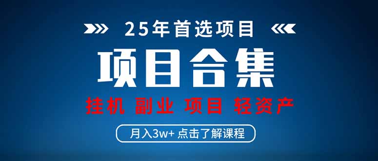 （14175期）2025 实操项目合集 挂机类型 直播类型 轻资产创业类型 课程分享各项目...