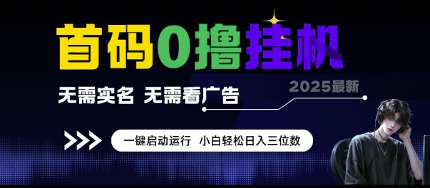 首码0撸挂G项目，无需实名无需看广告 一键启动运行，小白轻松日入三位数【揭秘】