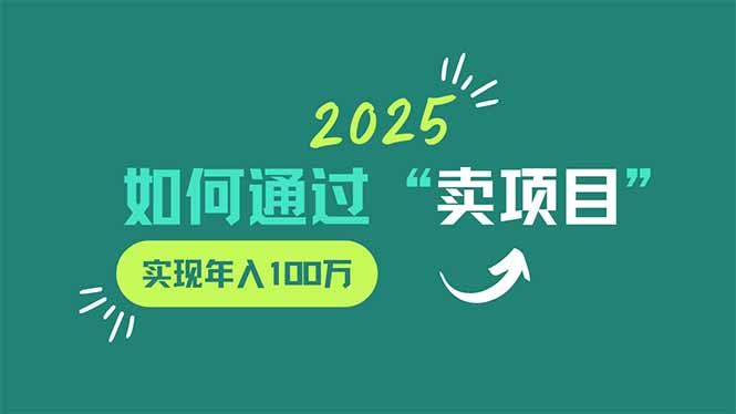 （14176期）2025年如何通过&ldquo;卖项目&rdquo;实现年入100万
