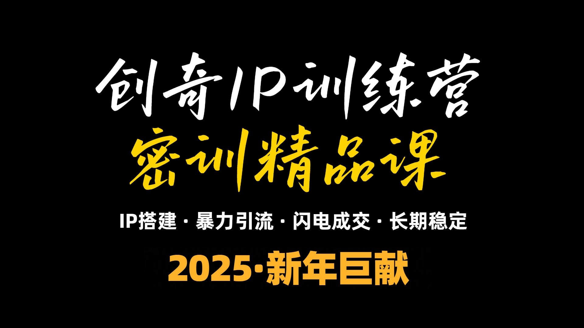 （13898期）2025年&ldquo;知识付费IP训练营&rdquo;小白避坑年赚百万，暴力引流，闪电成交