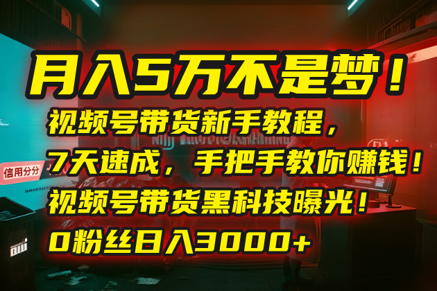 （15595期）月入5万不是梦！视频号带货新手教程，7天速成，手把手教你赚钱！视频号...