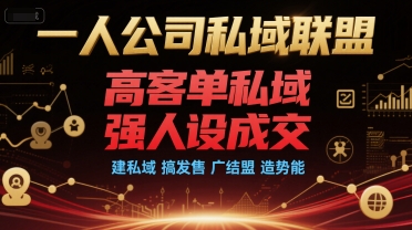 一人公司私域联盟，高客单私域，强人设成交，建私域 搞发售 广结盟 造势能