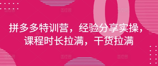 拼多多特训营，经验分享实操，课程时长拉满，干货拉满(更新25年4月)
