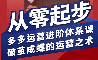 拼多多运营进阶系统课，从零起步，多多运营进阶体系课，破茧成蝶的运营之术（更新9月）