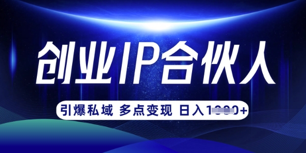 云帆&middot;创业ip合伙人打造3.0，从0到1教你做网创，实现月入过W