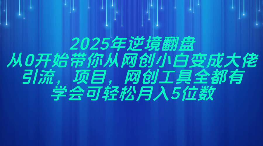 （14473期）2025年逆境翻盘，从0开始带你从网创小白变成大佬，引流，项目，网创工...
