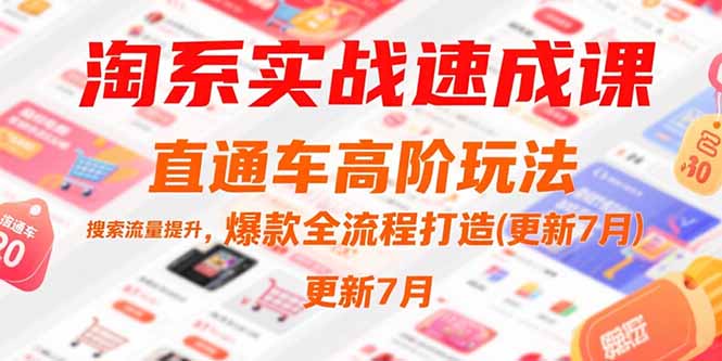 （15374期）淘系实战速成课，直通车高阶玩法，搜索流量提升，爆款全流程打造(更新7月)