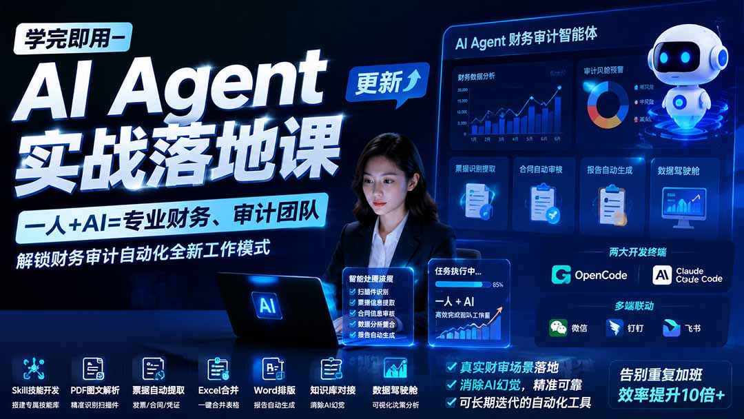 （19702期）学完即用&mdash;AI Agent实战落地课-更新：一人+AI=专业财务、审计团队，解锁财务审计自动化全新工作模式